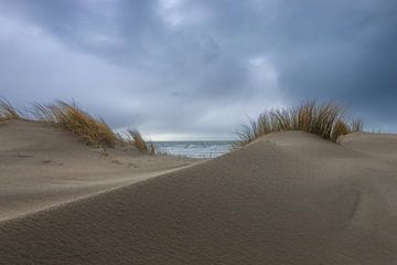 Tussen 2 duinen van Annemarie Veldman