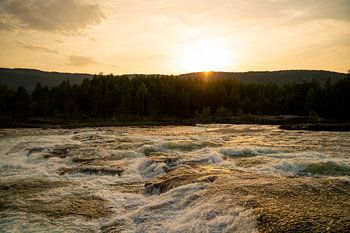 Le soleil bas en été