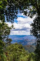 Nationaal Park Podocarpus, Ecuador