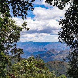 Podocarpus national park, Ecuador by Pascal van den Berg