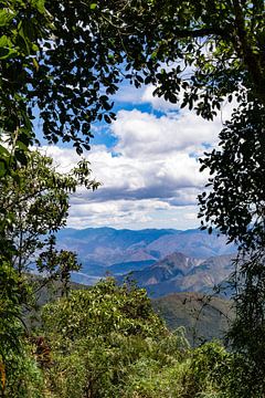 Nationaal Park Podocarpus, Ecuador van Pascal van den Berg