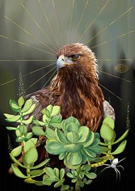 Bussard von Nettsch .