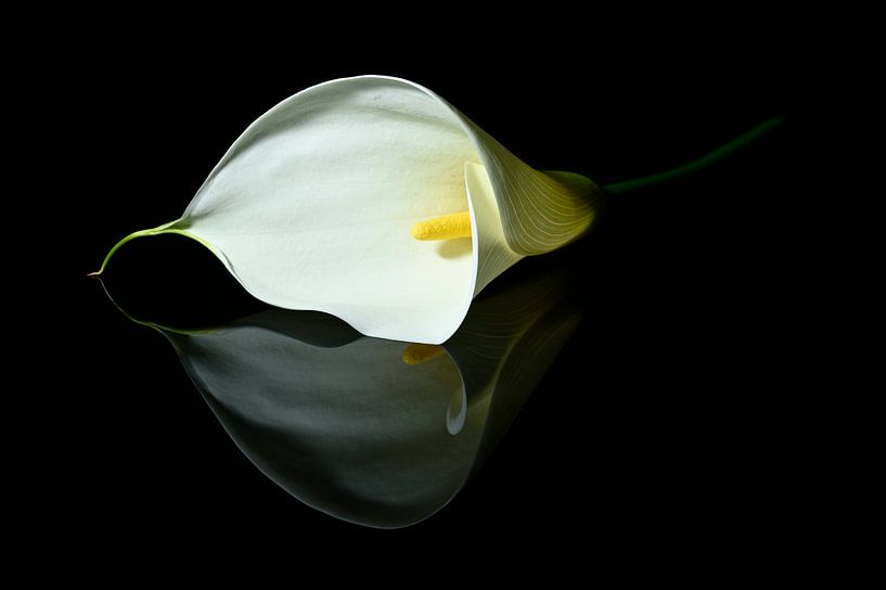 Void by Lies Nierop Fotografie