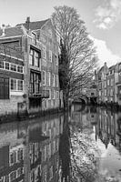 Voorstraathaven Dordrecht