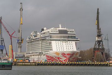 Cruiseschip Norwegian Joy in de haven van Rotterdam.