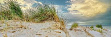 Die niederländische Küstenlinie in Bildern von eric van der eijk
