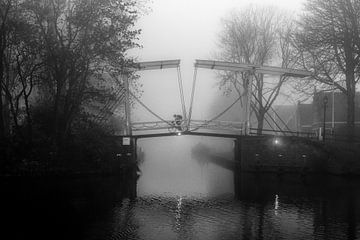 Misty Edam