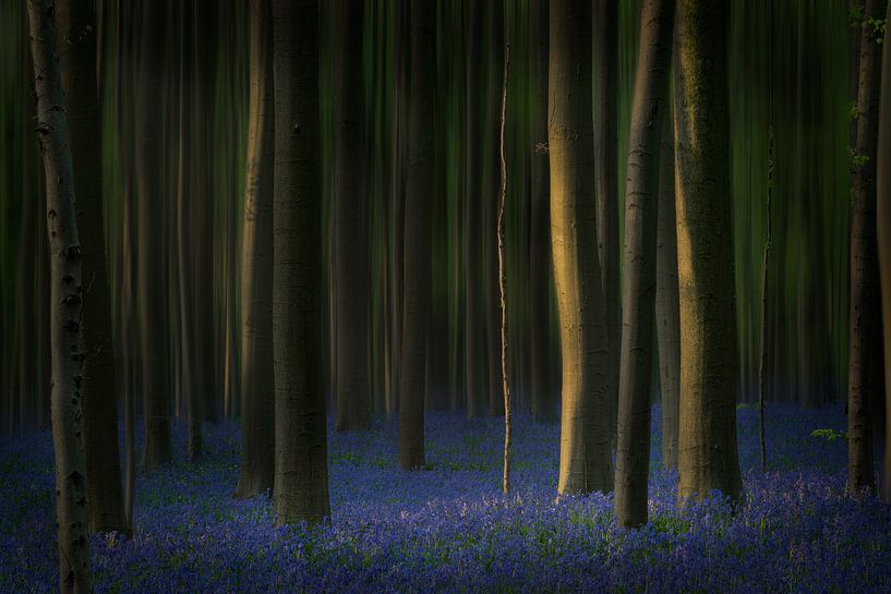 Chiaroscuro by Faeline Creations