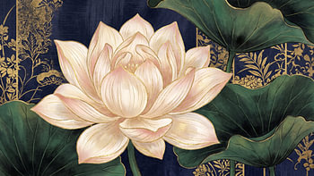 Japan Lotus Bloom Golden Elegance