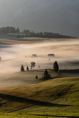 Alpi di Siusi