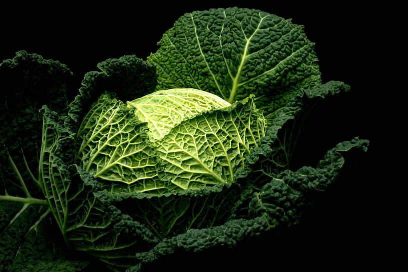 Cool, stylish by SO fotografie