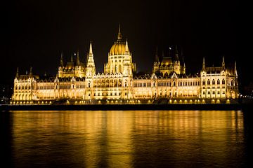 The House of Parliament, Budapest, Hungary, by night on eastern banks of River Danube by Alwin Wink