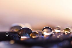 Symphony of drops