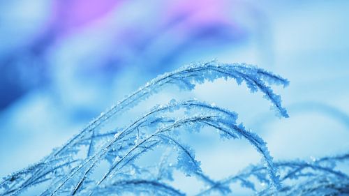 Ice Crystals