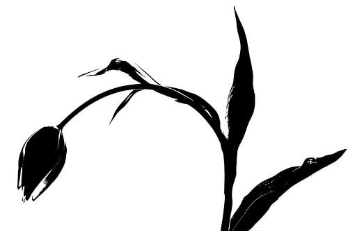 Tulp modern en abstract