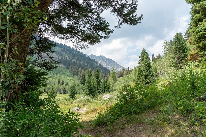 Parc national de Grand Teton par Studio Retouched fotoshop
