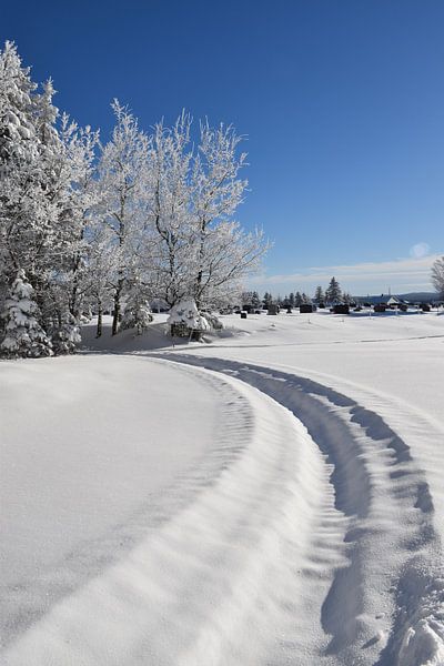 A snowmobile trail in a field by Claude Laprise
