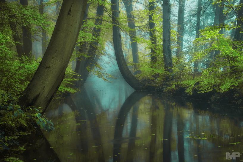 Boulevard of Broken Dreams by Martin Podt