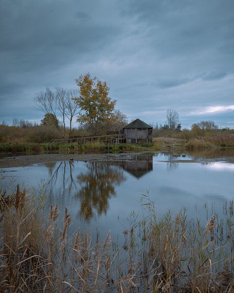 Blue hour by Bogdan Maxim