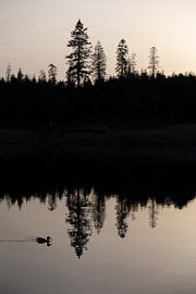 Sunset at the Oderteich in the Upper Harz Mountains by t.ART