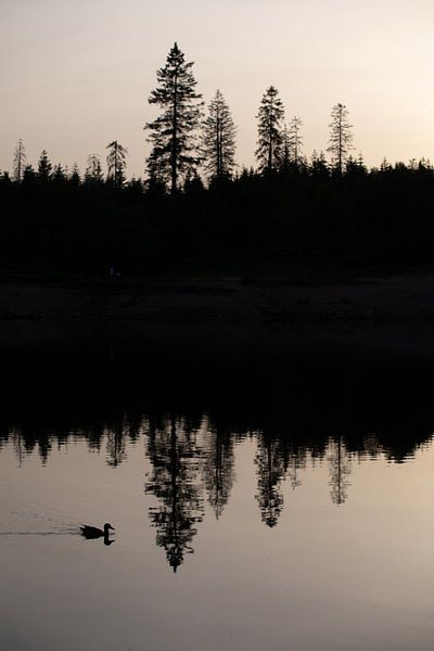 Sonnenuntergang am Oderteich im Oberharz von t.ART