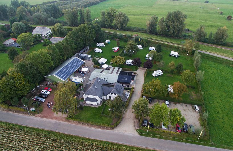 Rijnstrangen von Rene Jacobs