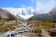 Fitzroy Massif Los Glaciares Argentine Patagonia by My Footprints thumbnail