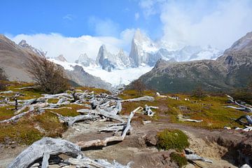 Fitzroy massief Los Glaciares Argentijns Patagonië van My Footprints