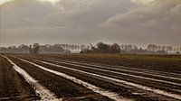 northern Friesland