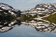 Noors landschap in spiegelbeeld van Simone Meijer thumbnail