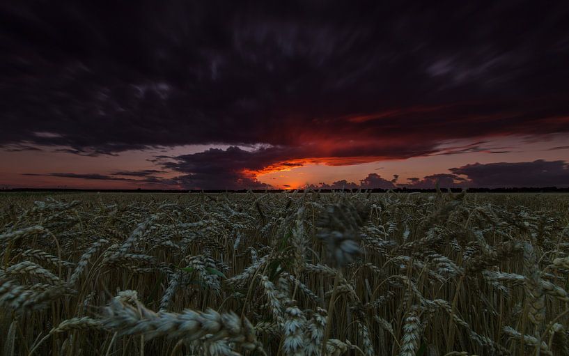 Bedrohlicher Himmel über einem Weizenfeld. von Marcel Kerdijk