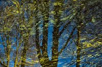 Tree reflection van Gogh