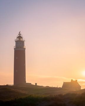 Vuurtoren van Texel van Robin Gooijers | Fotografie