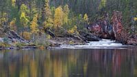 Herfst in Finland van Willemke de Bruin thumbnail