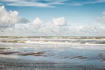 Strand Wijk aan Zee by Corali Evegroen