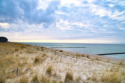 Buhne in Zingst an der Ostsee, die ins Meer reichen.