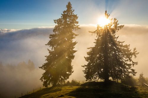 Zonsopgang in de Alpen