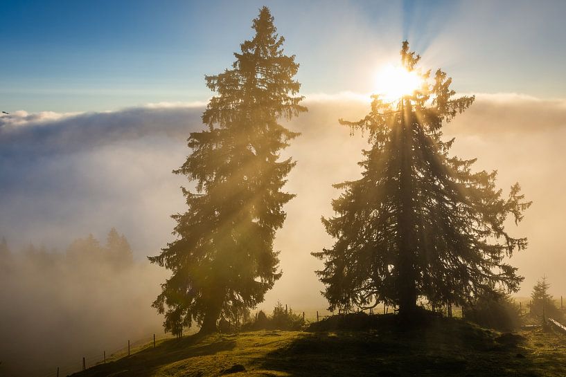 Sunrise in the Alps by Martin Wasilewski