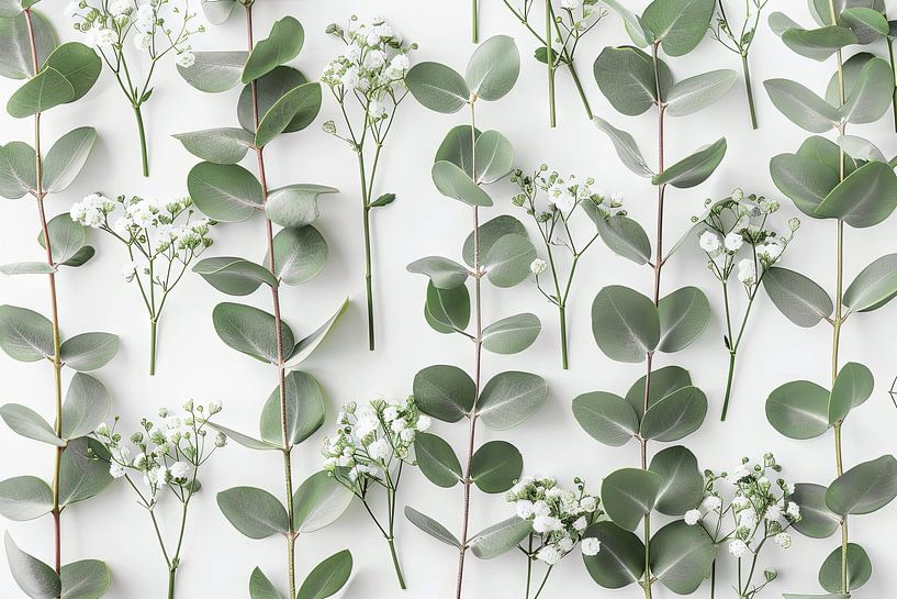 Eucalyptus and gypsophila by Poster Art Shop