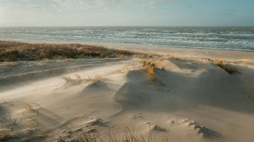 Dunes, plage et mer sur la côte néerlandaise sur Dirk van Egmond