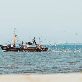 Fishing boat at Scheveningen with seagulls by Anne Zwagers