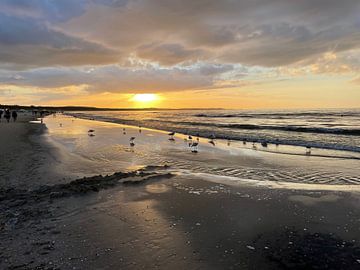 Strand Ostmeer von Anna Sasiadek