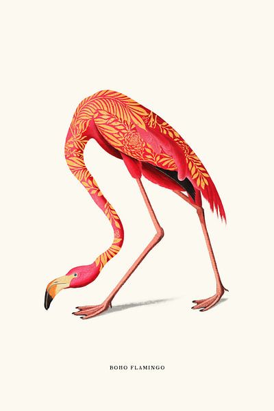 Boho flamingo by Jonas Loose