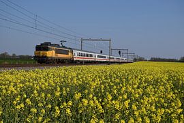 IC Berlin im Frühling von Harold de Groot