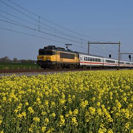 IC Berlin im Frühling von Harold de Groot