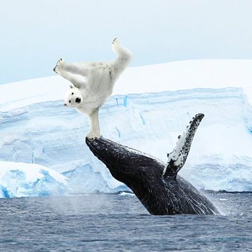 Funny polar bear breakdance digital wall art