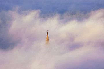 Couronne de la ville de Fribourg sur Patrick Lohmüller