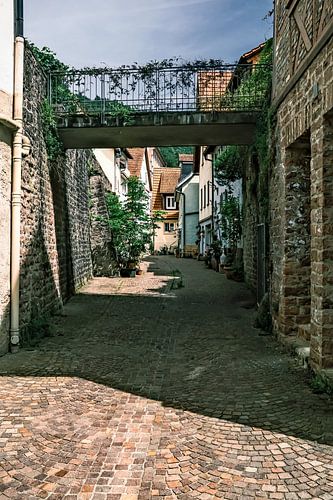 Vivre comme au Moyen Âge