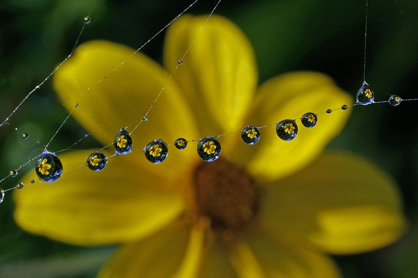 A FLORAL NECKLACE by Mieke van der Beek