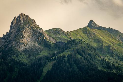 Schönes Sonnenlicht an einem Sommerabend